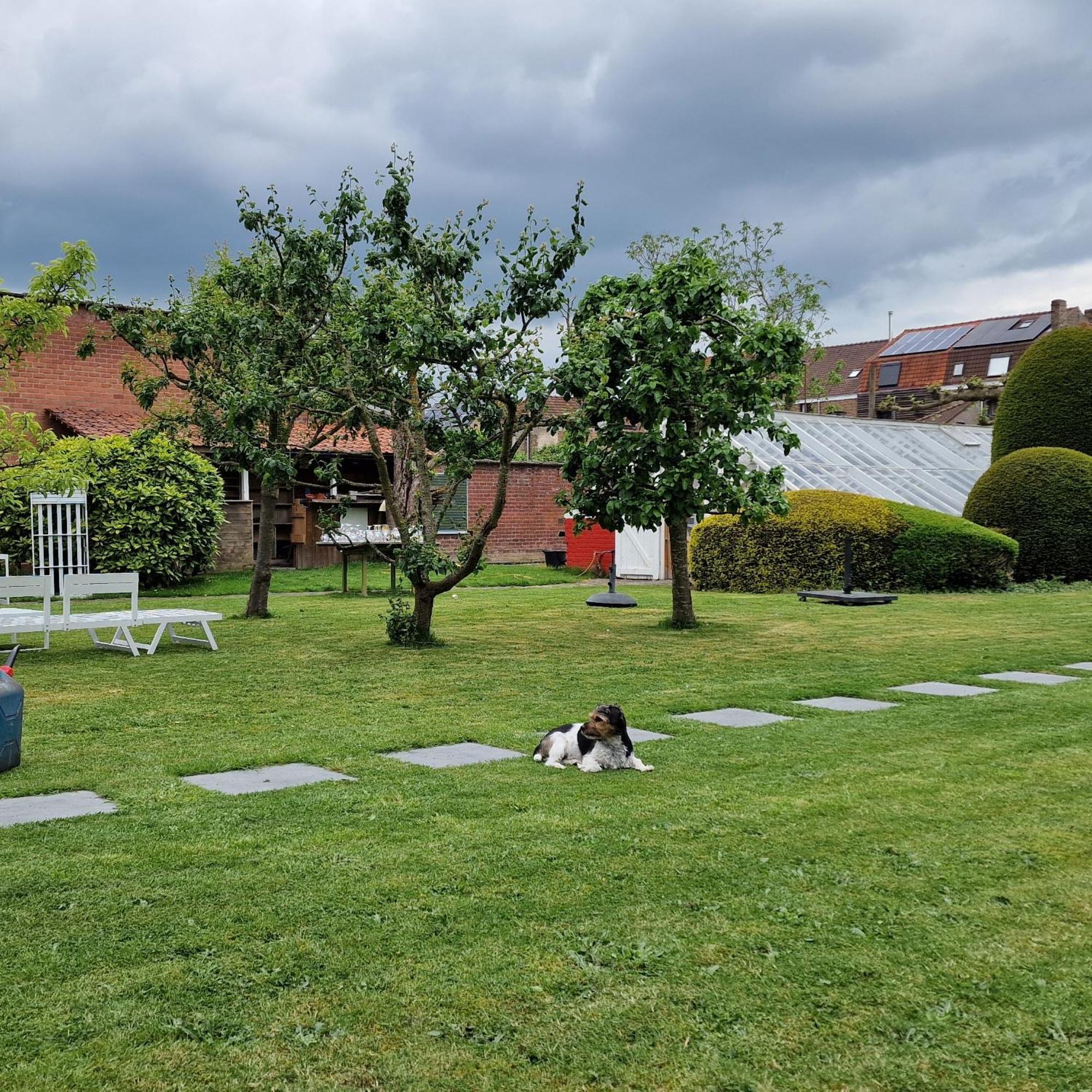 B&B Fine Fleur Brujas Exterior foto